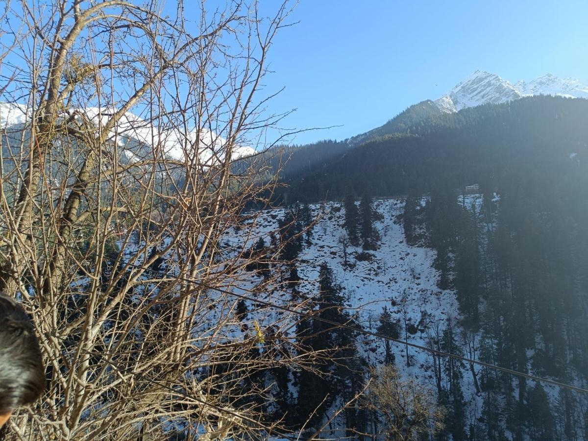 Snow Oak Guest House Kasol Exteriör bild